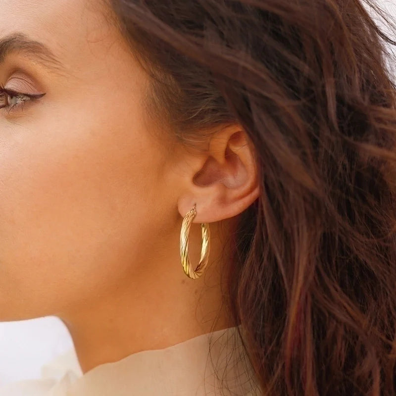 Elegant Twisted Hoops